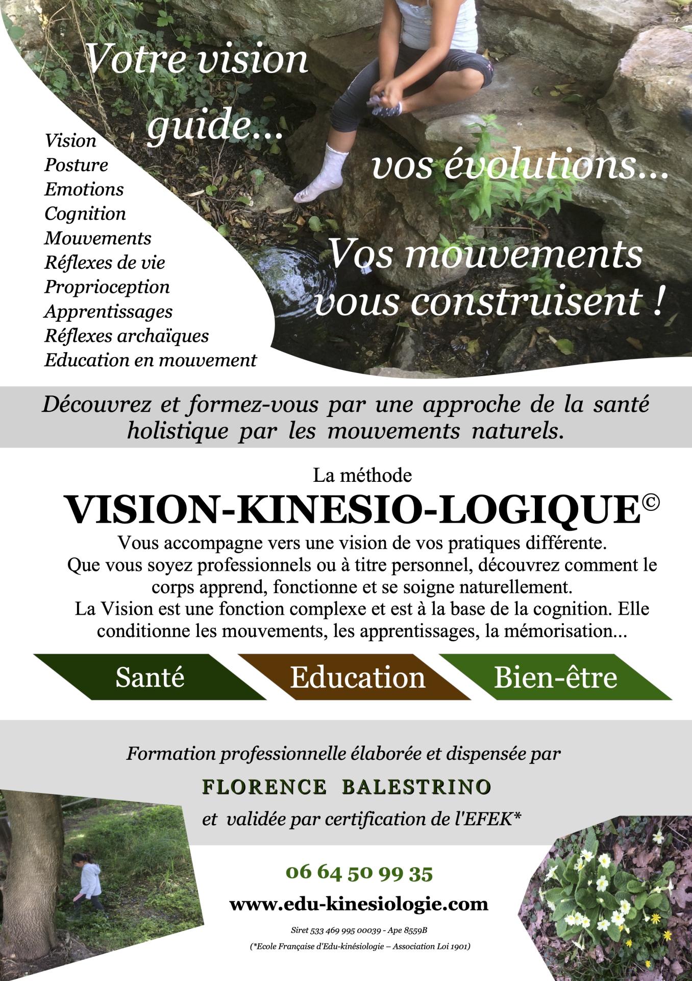 2025 01 25 flyer edu kinesio logique recto