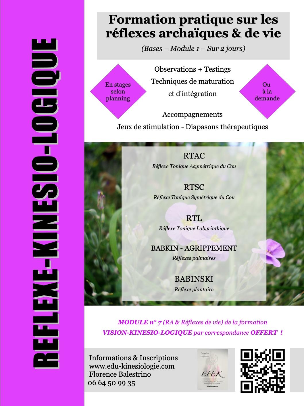 2025 04 05 reflexe kinesio logique formation