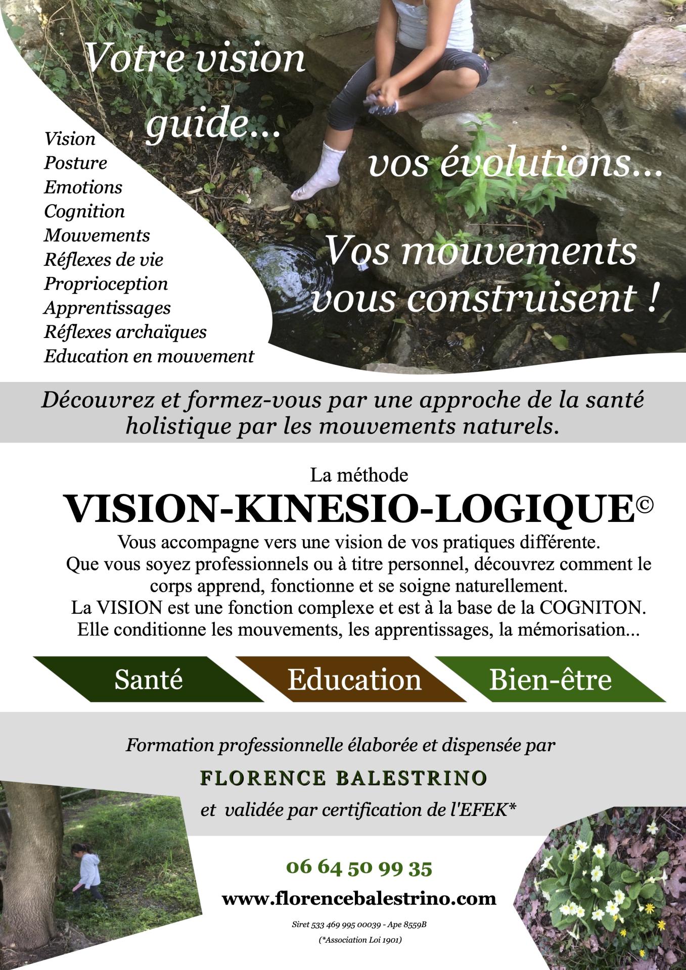2025 05 31 flyer formation vision kinesio logique recto