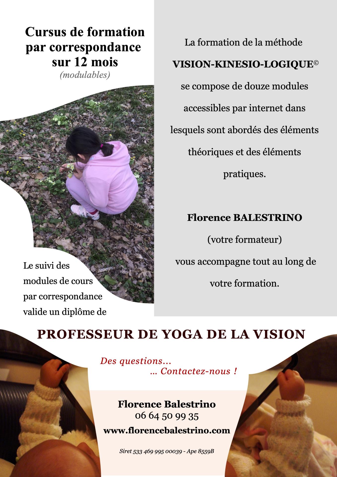2025 05 31 flyer formation vision kinesio logique verso