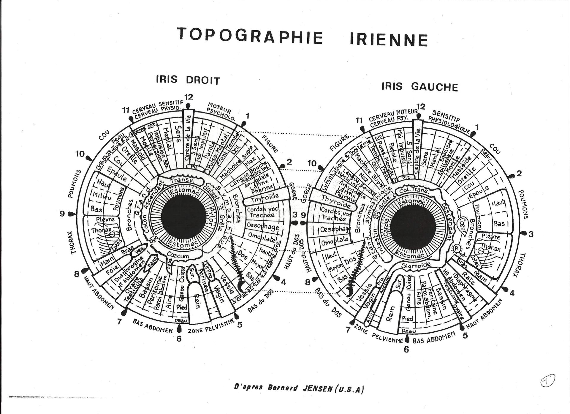 Carte iris jensen