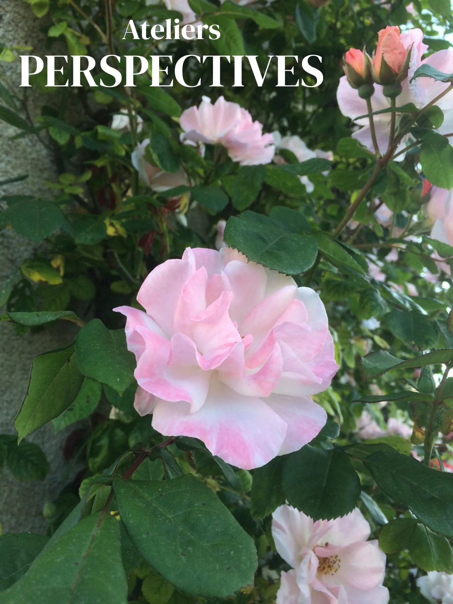 Ateliers perspectives 2