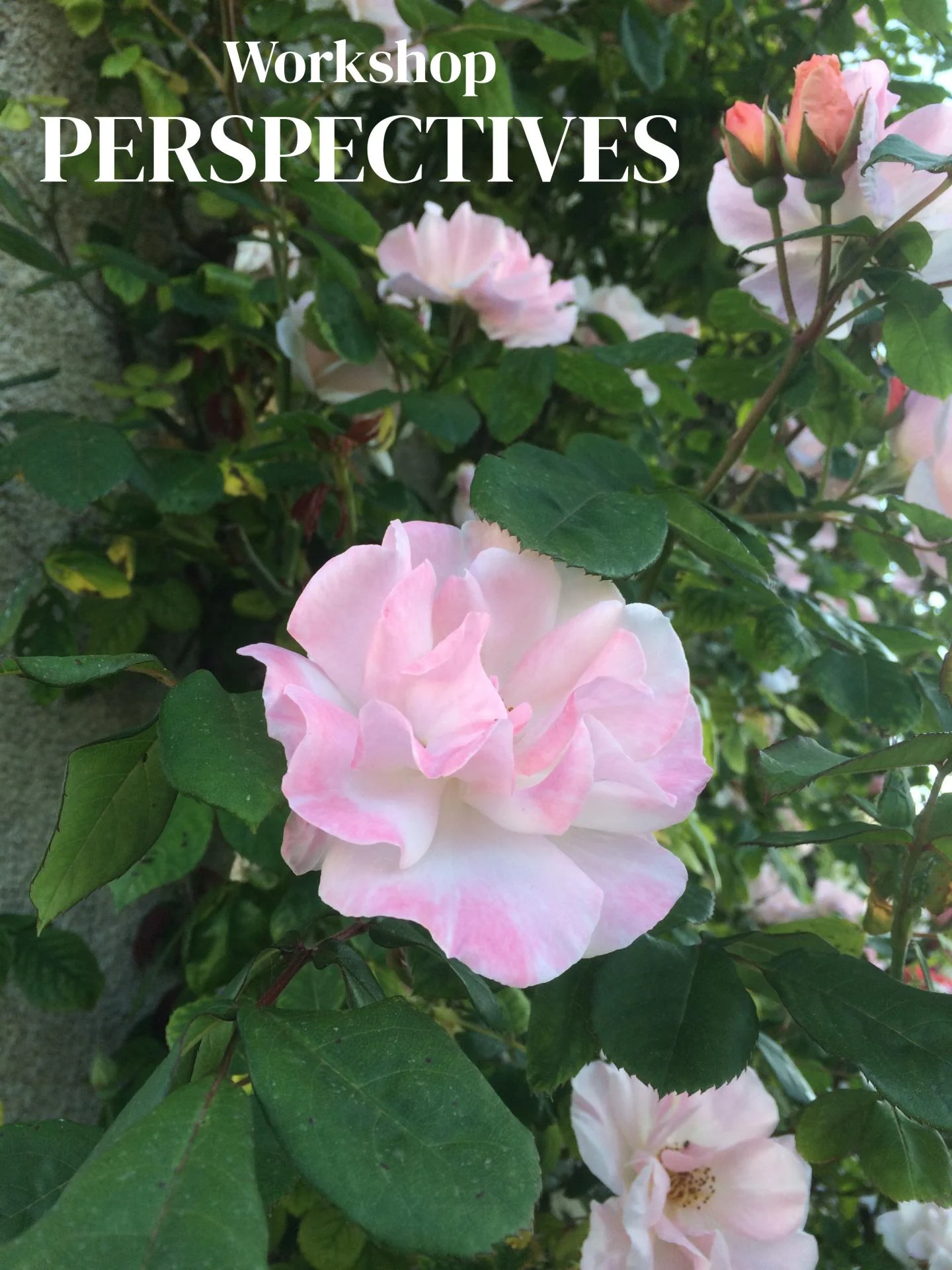 Workshop perspectives 2